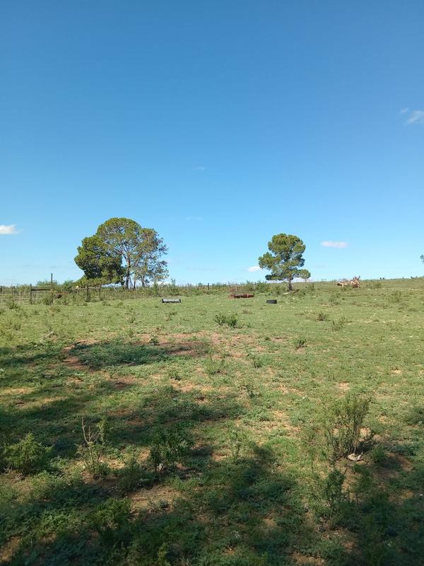 4 Bedroom Property for Sale in Grahamstown Eastern Cape
